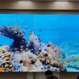 Видеостена AGILE LG-PJ-B551P-V6K