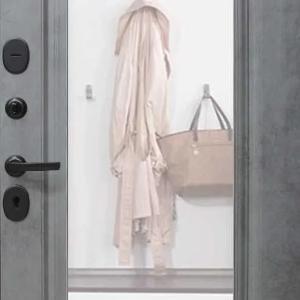 Eshiklar Metall Kirish Temir