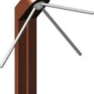 Qo'ziqorinli TRIPOD TURINIKE