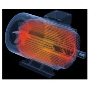 Elektr dvigateli, 2-model