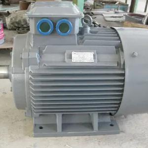 Elektr dvigatel 5A(AIR)200L6 30 kVt 1000 rpm IM1081