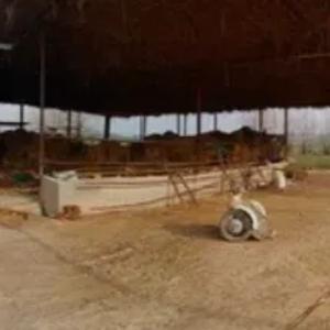 Животноводческие постройки