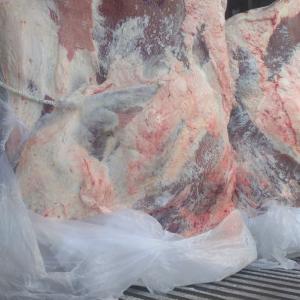 Замороженное мясо говядины в четвертинах