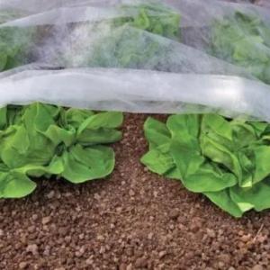 Agrofibre (Spunbond), Zichligi 17 dan SUPER Narxi!!!