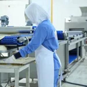 Borek ishlab chiqarish uchun avtomatik liniya