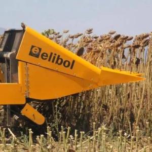 Жатка для уборки подсолнечника Elibol Freesun 550 на комбайн