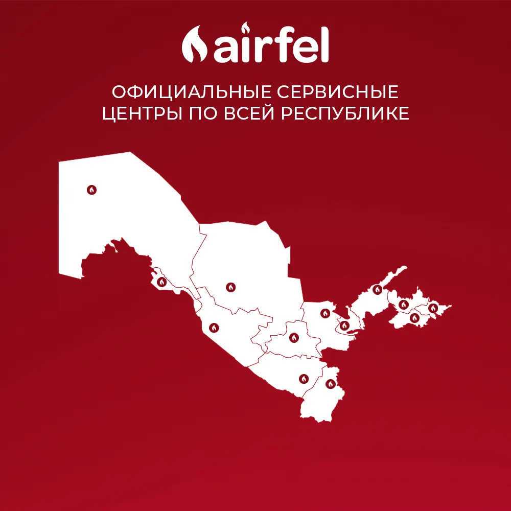Ikki pallali qozonlar Airfel Digifel Duo 14 kVt
