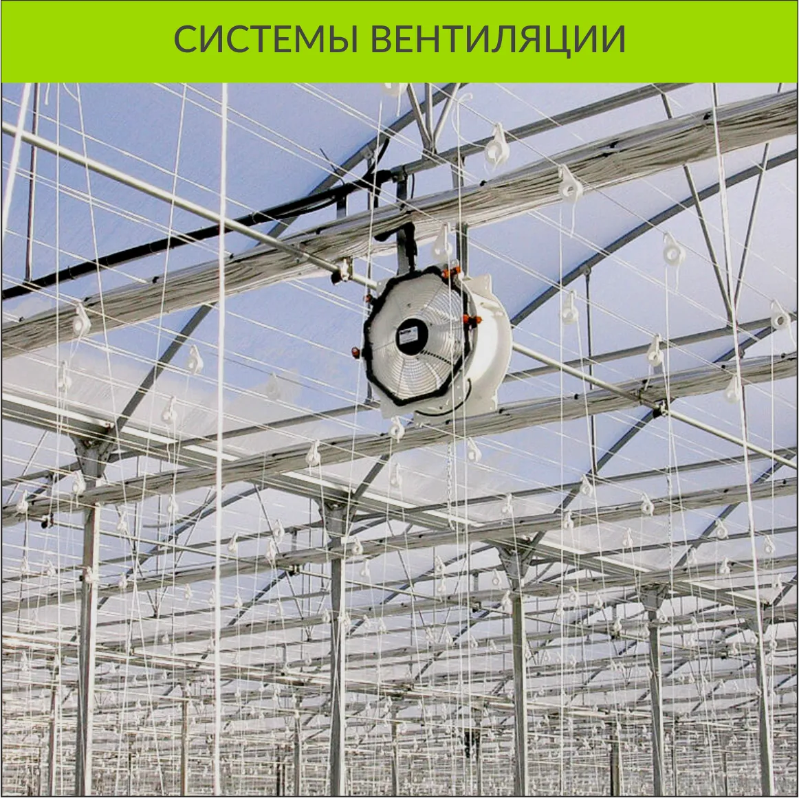 Современные европейские теплицы