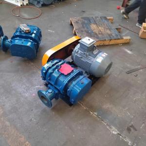 Роторная воздуходувка Рутс RSR-100