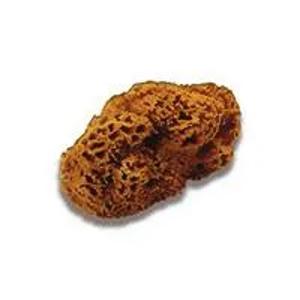 Стройматериалы Морская губка