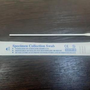 Viskoza tampon bilan plastik SWAB tayoqchalari.