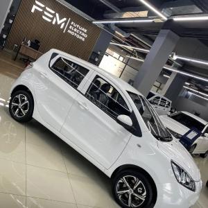 Электромобиль Changan BenBen Star