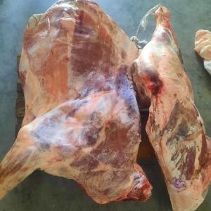 Замороженное мясо говядины в четвертинах