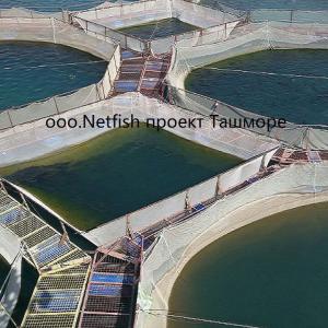 Baliq tutish uchun mo'ljallangan to'r maxsulotlari