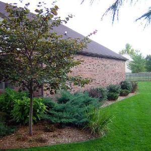 Установка автоматизированных поливных систем