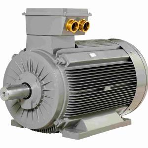 Электродвигатель Gamak среднего напряжения