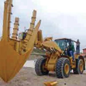 BIG JOHN Loader o'rnatilgan daraxt ko'chatlari