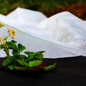 Агроволокно (Спанбонд) , Плотность от 17 СУПЕР Цена!!!