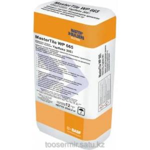 Сухая смесь MasterTile WP 665