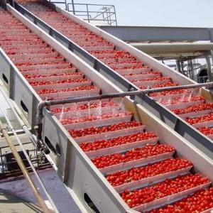 Profilli konveyer lentalari