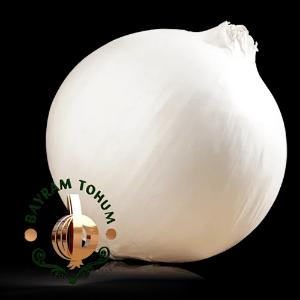 ALBA piyoz urug'lari