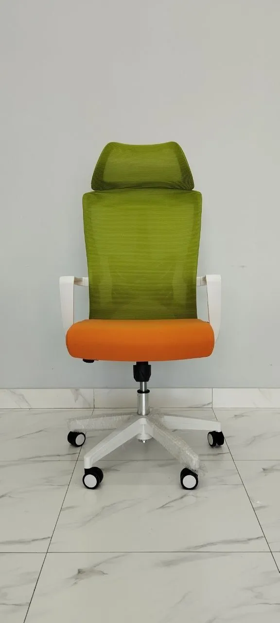 Ofis kafedrasi Lara