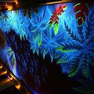 Флуоресцентные краски