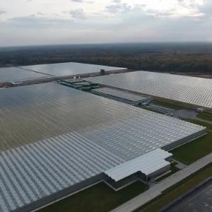 Промышленные теплицы