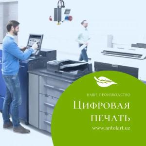Цифровая печать (визитки, буклеты, блокноты, папки, брошюры)