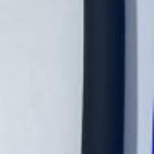 Гусак цветной без головки чёрный