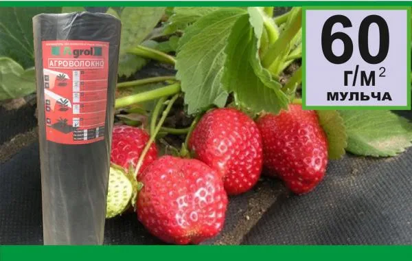 Агроволокно АгроЭл 60, (Мульча) Шир (9,3м)