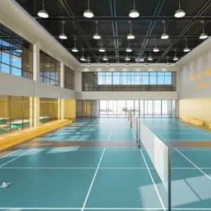 Sport linoleum (relin) t-6,5 mm