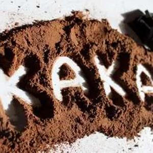 Алкализированный порошок какао/Alkalized Cocao Powder