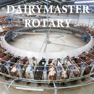 Доильный зал Dairymaster