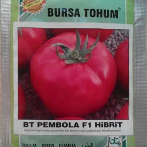 Pembola F1 Pomidor urug'lari