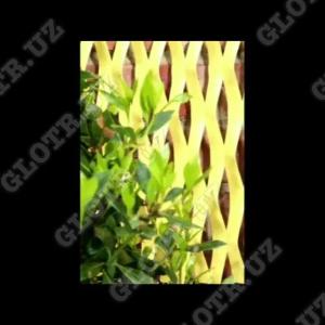 Bog 'va park skameykalari