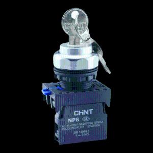 NP8-11y / 21 kalit kalitlari (2nap)