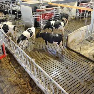 Автоматическая система кормления Lely Vector