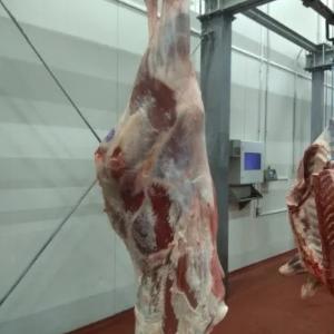 Мясо замороженное производства Беларусь