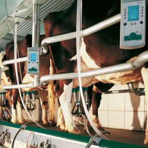 Sog'ish xonalari Carousel, Parallel, Herringbone