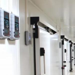 muzlatgichda sifatli saqlash