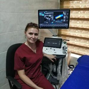 Ультразвуковая диагностическая система RS85 Samsung Medison