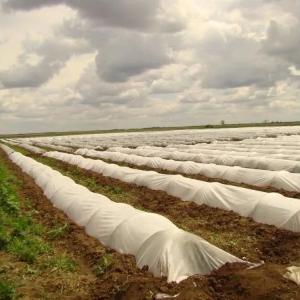 Agrofibre (Spunbond) 30, Kengligi (1,6-3,2-6,3) Ulgurji narxlar!!!