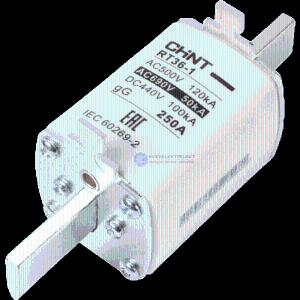 Asosiy RT36-1-250 100a gg / gL sigortalar