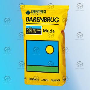 Sport va landshaft maydonlari uchun o't urug'lari