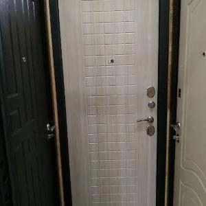 Входные двери. Двери входные металлические