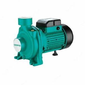 Santrifüj nasos (sirt) SHIMGE 2SGPm25/140