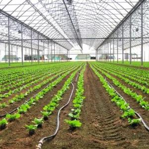 Ирригационные системы