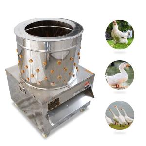 ОБОРУДОВАНИЕ ДЛЯ ОЧИСТКИ КУРИНОГО ПЕРЬЯ — СКОРОСТЬ И КАЧЕСТВО В ОДНОМ!