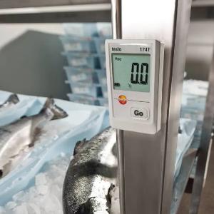 Мини-логгер данных температуры и влажности testo 174 H